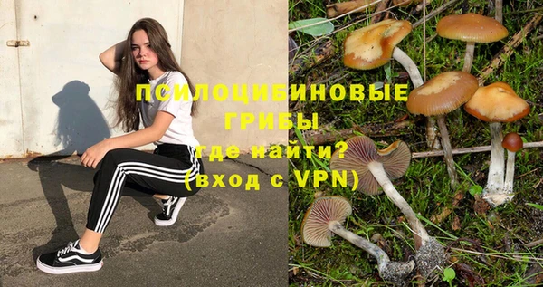 прущий лед Свободный