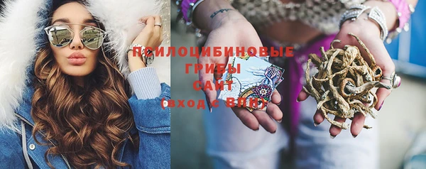 apvp Навашино